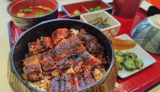 名古屋めし図鑑！地元民が選ぶ絶対に食べるべき定番＆穴場グルメ10選